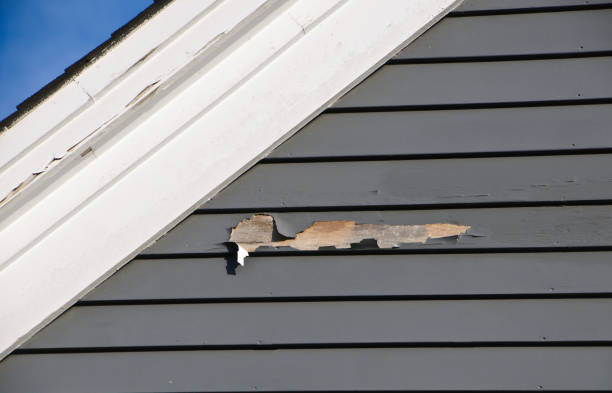 Best Vinyl Siding Installation  in Mount Vista, WA